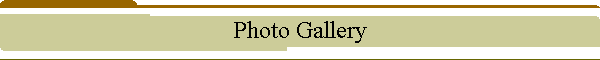 Photo Gallery